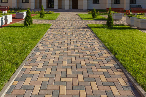 Reasons to Select Us for Your Driveway Paving Requirements in Zebulon, GA